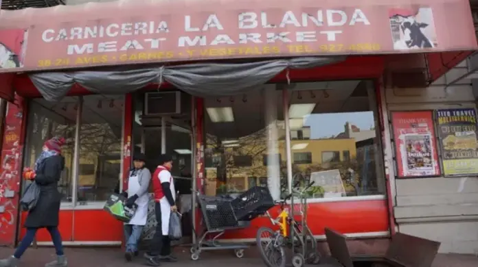bodega