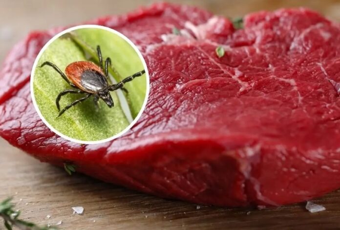 Carne-con-picadura-de-garrapata