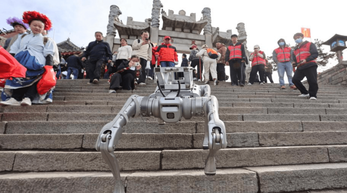 Perro-robot-Monte-Tai