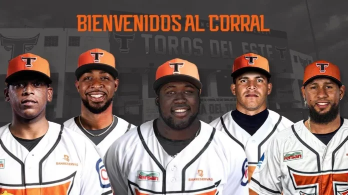 Toros