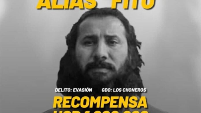 alias-fito-1024x683-1-a2c31caf-focus-0-0-896-504