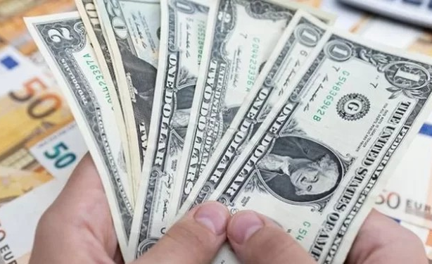 dolares 5