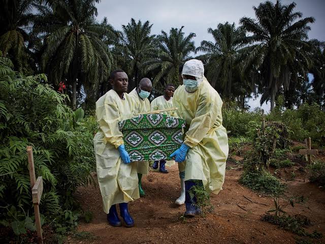 ebola 23