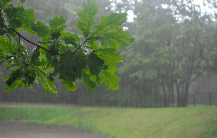 lluvia