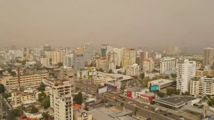 polvo