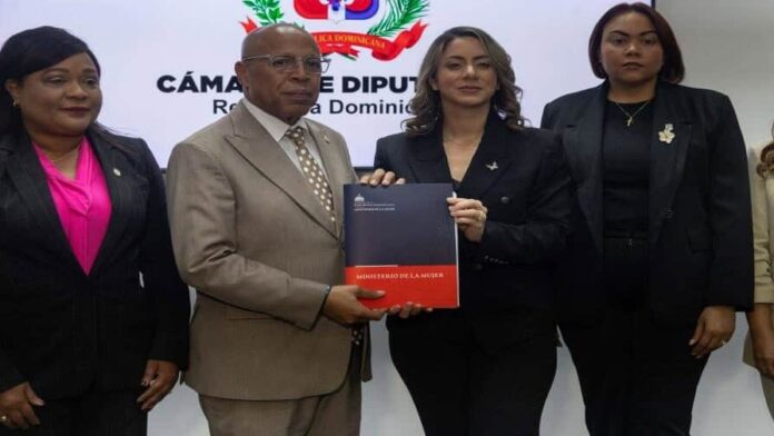 proyecto-de-ley-mirabal-establece-sanciones-por-violencia-vicaria-00418d11-focus-0-0-896-504