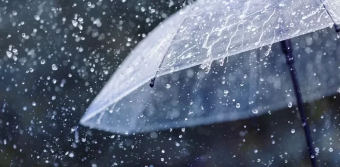 sombrilla transparente