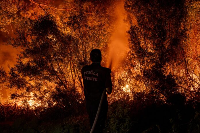 turkia fuego